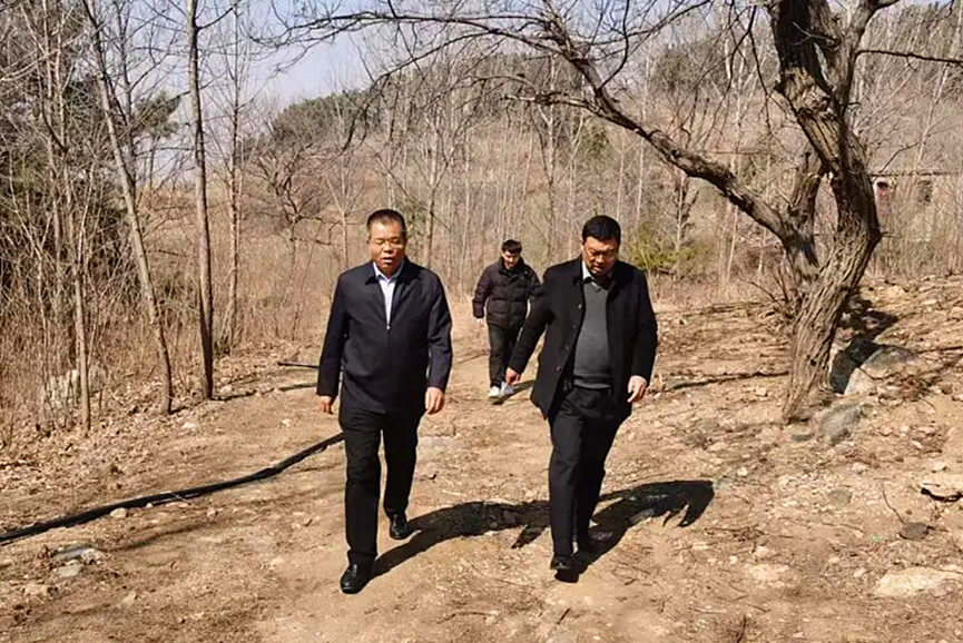 尹传亮到武台镇督导森林防火工作
